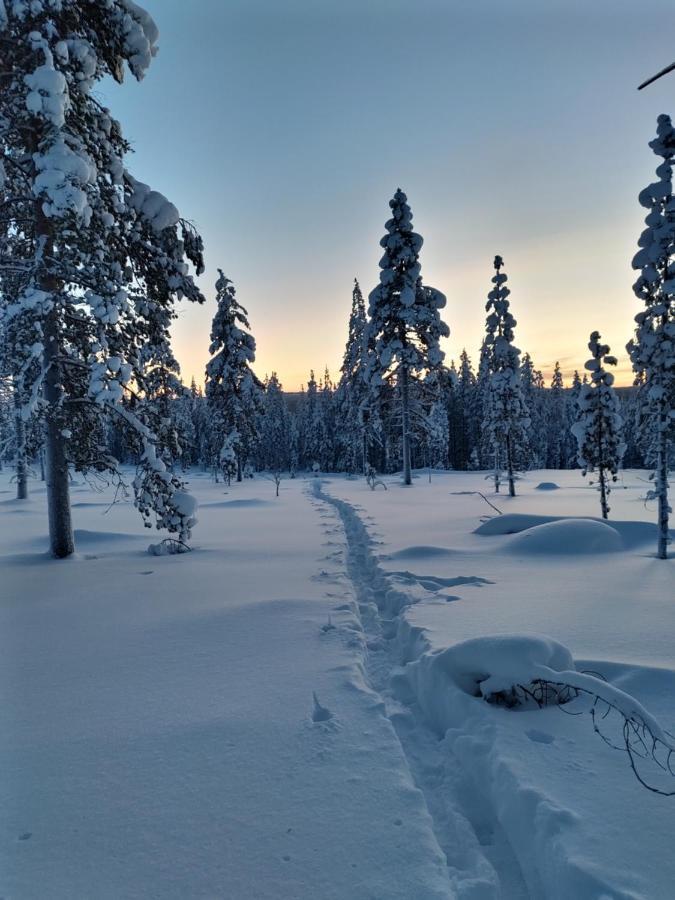 Villanorva Saarenkylä Zewnętrze zdjęcie